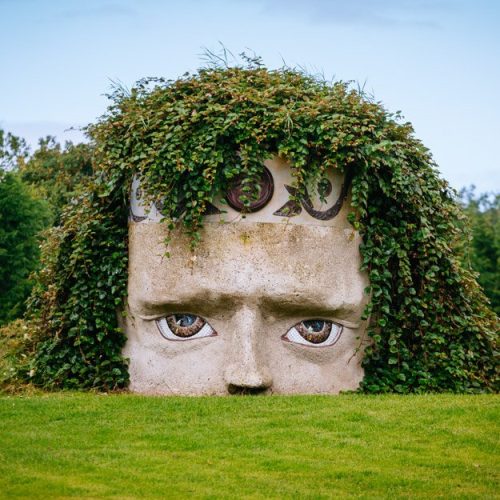A concrete sculpture of a human face with painted eyes at Dún na Sí Amenity & Heritage Park is partially covered in green vines.